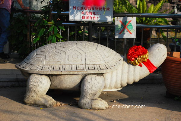 Tortoise Concrete Statue @ Kuan Yin Temple, Klang